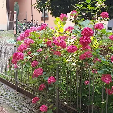 Loft Carina Ideale Per Visitare Il Centro Di Appartement Turijn